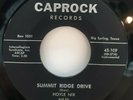 45 RPM ROCKABILLY HOYLE NIX, BIG BALLS IN COWTOWN / SUMMIT RIDGE DRIVE