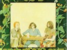 SPIRIT OF LOVE (RE-ISSUE) by C.O.B. Vinyl  Album  BRINELP5