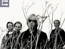PETTY,TOM & HEARTBREAKERS-ECHO VINYL LP NEW