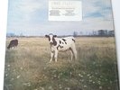 Pink Floyd - Dark Side Of the Moo - Vinyl LP - Rare & Unreleased Tracks NM/NM