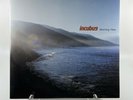 Incubus - Morning View Vinyl Record LP