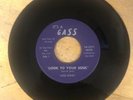 Wild Honey Look To Your Soul Vintage Garage Band Gass 45 Tested