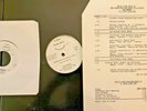 RADIO SHOW 11/9/87 MUSIC VIEW LP & CD: dB's (2),SCREAMING BLUE MESSIAHS (2),WIRE
