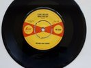 Ike And Tina Turner I Can't Believe What You Say 7 Inch Vinyl Record