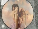 CAMILA CABELLO LIAR/SHAME URBAN OUTFITTERS  PICTURE DISC SINGLE VINYL-ONLY 2000