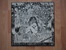 Septic Death Vinyl - Now That I Have The Attention...  Pusmort 0012-01D 1986