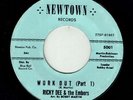 RICKY DEE & THE EMBERS * Work Out * NEWTON * US Orig. Rock’n’Roll 45 * MP3