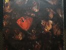 Nine Days Wonder - Self-titled LP UK Psych Prog Kraut Rock