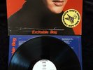 Warren Zevon - Excitable Boy Vinyl LP Asylum PROMO/RADIO STATION 6E-118  VG/EX