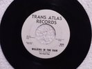 THE KACT TIES Walking in the Rain TRANS ATLAS 695 M-