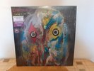 Dinosaur Jr - 2021 Signed Flight13 Bundle 