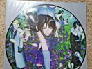 Final Fantasy VIII 8 Vinyl OST Square Enix Official Picture Disc Squall 2 LP