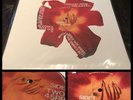 ROCKET FROM THE CRYPT Cut Carefully And Play Loud LP Vinyl SEALED-hot snakes