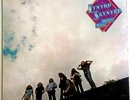 LYNRD SKYNRD - Nuthin' Fancy Vinyl LP 1st Press 1975 MCA -2137 Original Sleeve