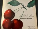 Howard McGhee Bethlehem (VG+) Life Is Just A Bowl of Cherries Mono