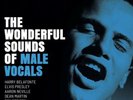 ANALOGUE PRODUCTIONS APP-131 THE WONDERFUL SOUNDS OF MALE VOCALS 2LP