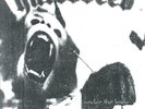Hatebreed - Under The Knife 7