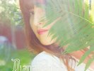 Diana Pantone Seasons My Four Panton Solstice/Equinox Heavy-Weight Board Lp