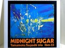 Yamamoto Tsuyoshi Trio Midnight Sugar 180-gram VINYL 2xLP 45 RPM TBM-23-45 Impex