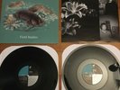 Field Studies by Quasi (AUTOGRAPHED) (Vinyl, Sep-1999, Up)