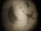 Nina Simone - My Bady Just Cares For You X-RAY OF USSR X-RAY BONES RECORD