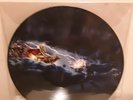 AMON AMARTH DECEIVER OF THE GODS PICTURE DISC LP  VINYL RECORD