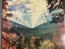 Tame Impala Vinyl | Innerspeaker | Double Feature