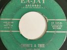 Very Rare Black Gospel Soul 45/ Echoes Of Glory 
