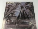 *RARE* STEELY DAN - 