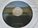 WILD HORSES STAND YOUR GROUND Thin Lizzy Original Press LP MINT VINYL