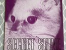 Secret Shine Untouched LP Rare Indie 1993 (SARAH 615) EX