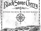 BLACK STONE CHERRY BETWEEN THE DEVIL & THE DEEP BLUE SEA NEW LP