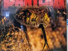 Pantera ‎– The Great Southern Trendkill : EastWest America ‎SEALED COLOR VINYL