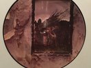 Led Zeppelin IV LP Vinyl Picture Disc
