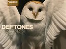 Sealed: Deftones : Diamond Eyes White Vinyl