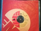 The Pirates  'My Babe/Casting My Spell' (PIJNO1) 1978 French EMI repressing (EX)