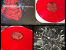 BLACKLISTED The Beat Goes On LP Red Vinyl-cold world hope conspiracy converge