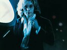 Warren Zevon [self-titled] (180g RTI Remastered Vinyl LP, 2019)