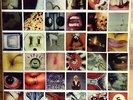 Pearl Jam - No Code Vinyl LP (White) + Polaroids Like New