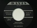 Doo-Wop 45 - Chestnuts - Love Is True/It's You I Love - Davis - VG+ mp3