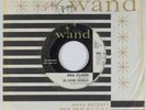 Garage Psych 45 MOVING SIDEWALKS 99th Floor WAND promo zz top HEAR