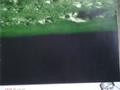 Cave in Jupiter Vinyl