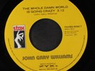 JOHN GARY WILLIAMS / SANDRA WRIGHT: the whole damn world is going crazy / midnig