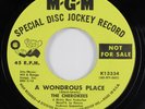 Garage 45 CHEROKEES A Wondrous Place MGM VG+ promo HEAR