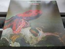 GENTLE GIANT - OCTOPUS VERTIGO SWIRL 1ST UK PRESS EX++ museum upgrade