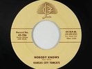 Doo-Wop R&B 45 - Kansas City Tomcats - Nobody Knows - Josie - VG+ mp3