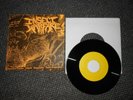 INSECT WARFARE LP 7