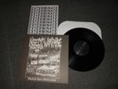 INSECT WARFARE LP 12