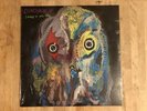 DINOSAUR JR SWEEP IT INTO SPACE YELLOW PURPLE SPLATTER VINYL LP SECRETLY SOCIETY