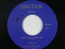 Rockabilly 45 - Gary Ray & New Sounds - What To Do With You - Lincoln - obscure